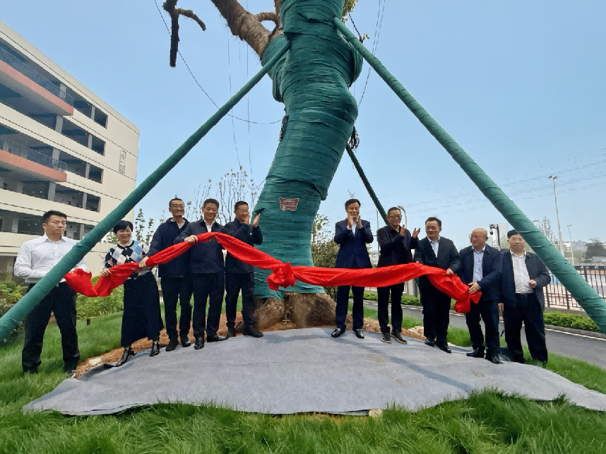 微信图片_20260411211255