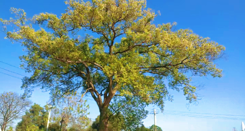 2026-04-12 11:29:51.980000