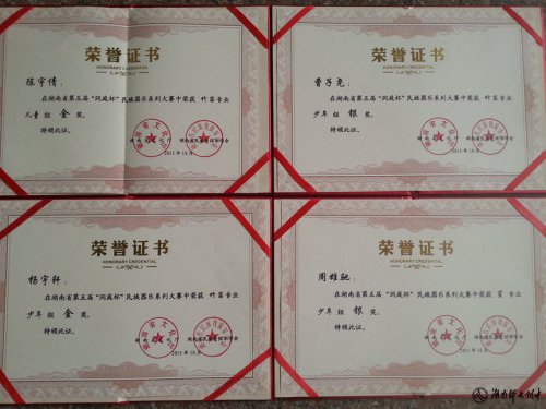 喜讯：我校学生在湖南省第五届“洞庭杯”民族器乐大赛中摘金夺银