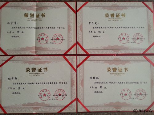 喜讯:我校学生在湖南省第五届“洞庭杯”民族器乐大赛中摘金夺银