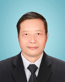 杨帆