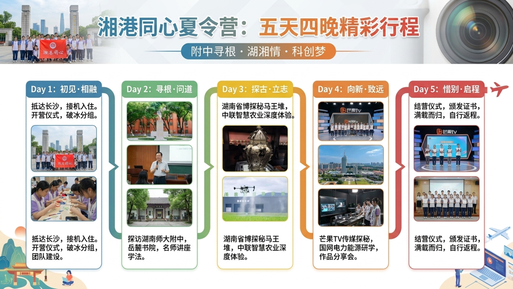 图片7
