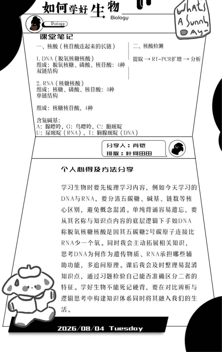 图片 4