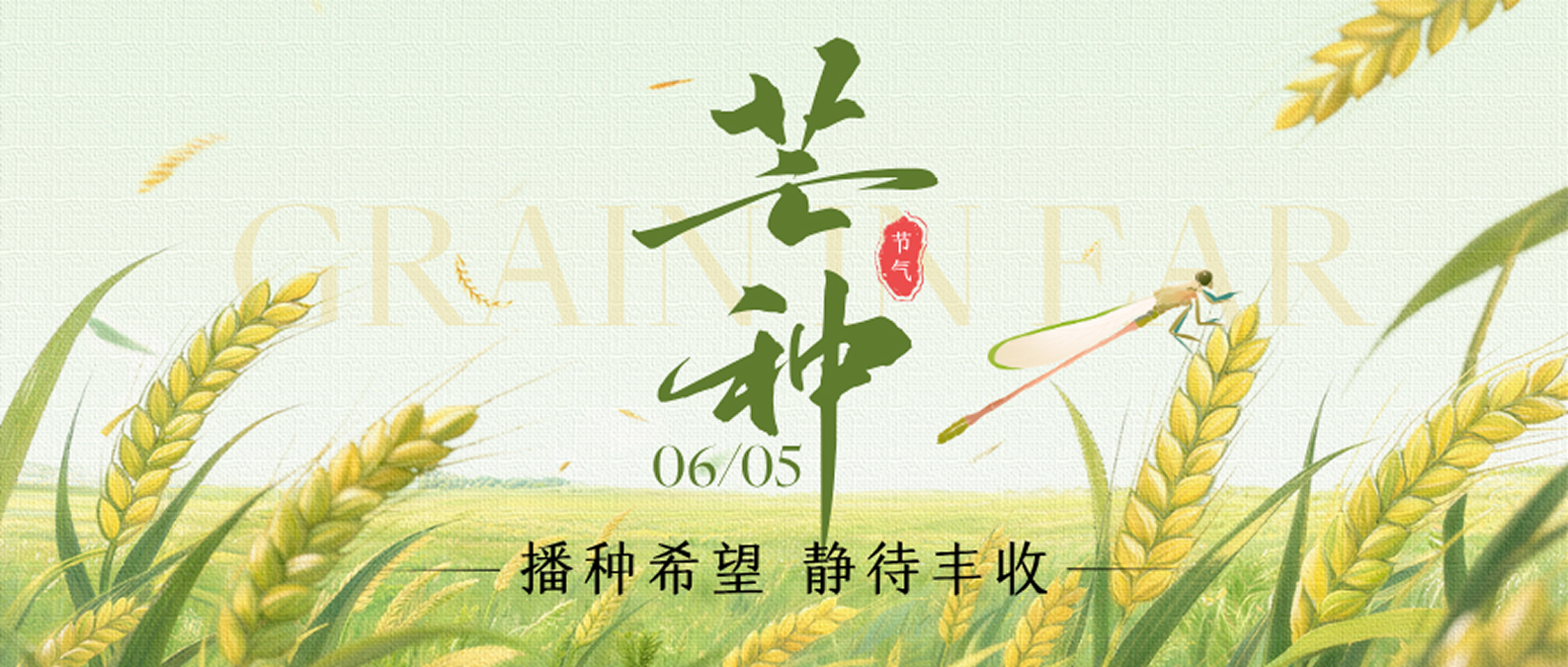 芒种