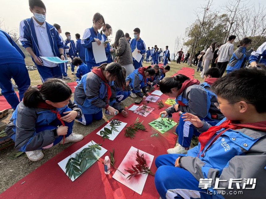 同学们在春天的大自然中尽情创作。 同学们在春天的大自然中尽情创作。