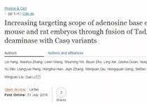 中国团队发现基因治疗新武器：腺嘌呤碱基编辑系统