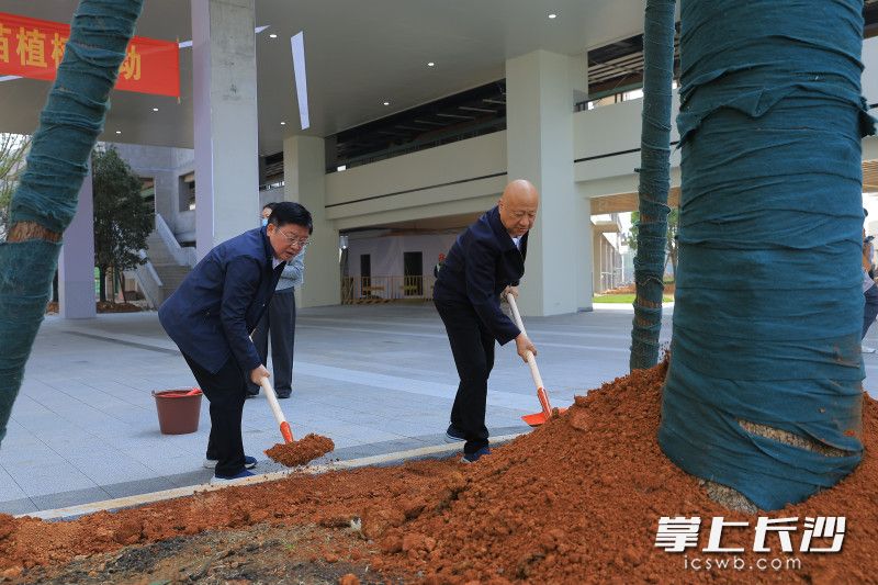 以栽种“教育生态林”的特殊方式，正式拉开新校区启用的序章。